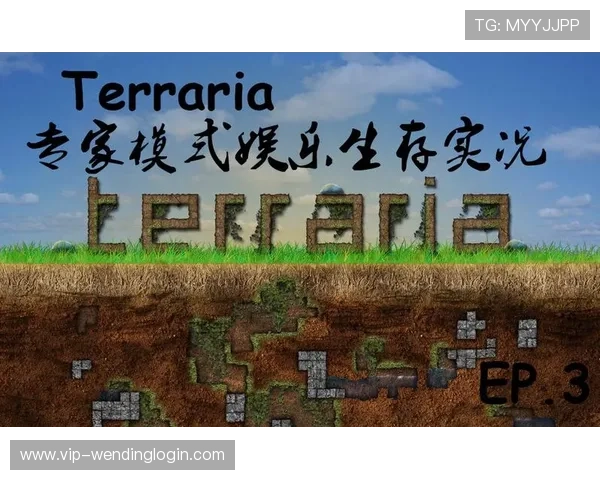 问鼎娱乐官网手机版最新版本下载安装指南，确保每位玩家都能顺利开启精彩游戏之旅